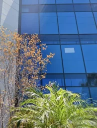 Synergy Orthopedics Serra Mesa – CC09 at 3444 Kearny Villa Road, San Diego, CA 92123