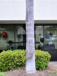 Synergy Orthopedics Miramar – PT01 at 7220 Trade Street, San Diego, CA 92121